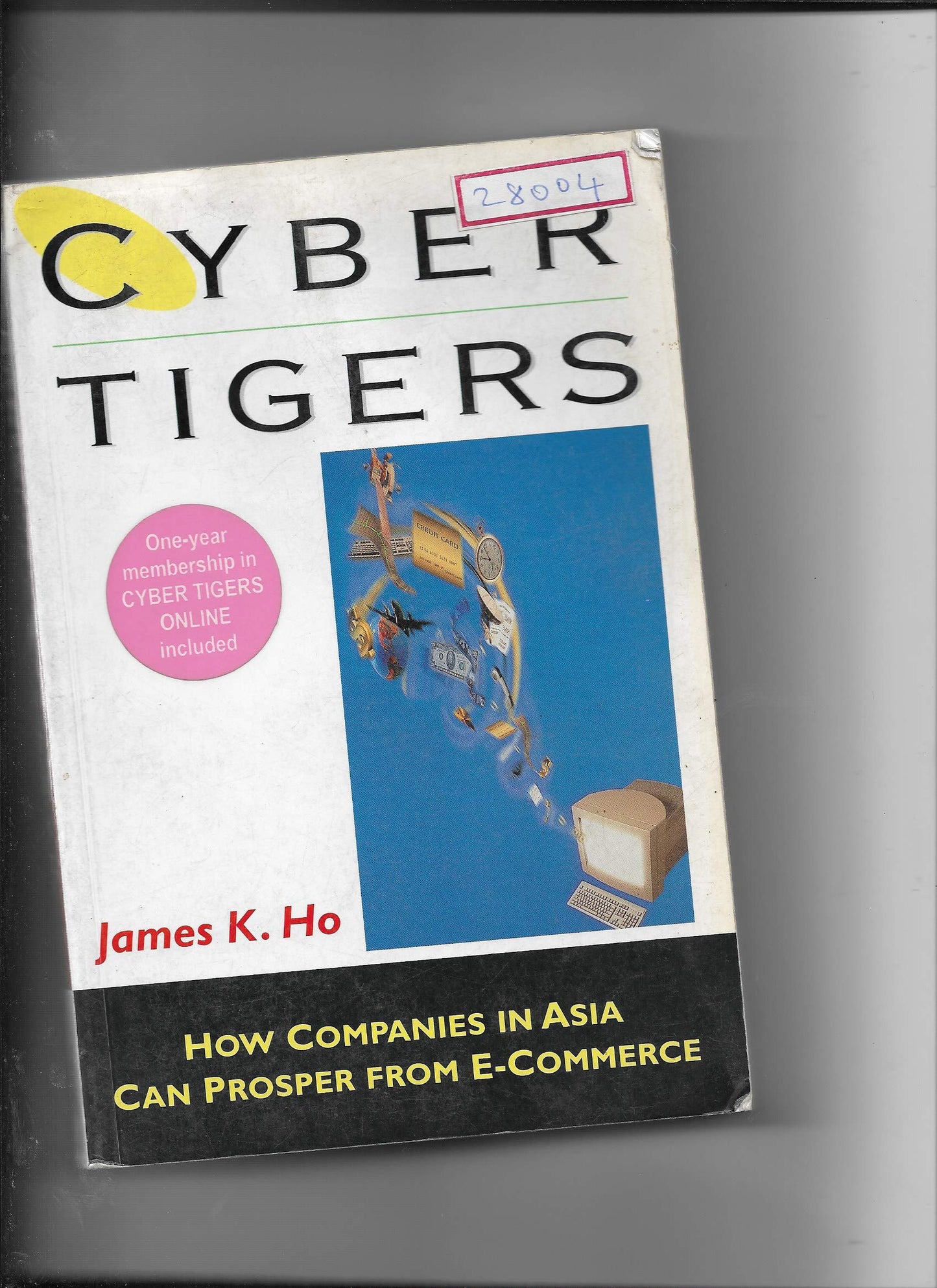 Book cover of Cyber Tigers by Ho