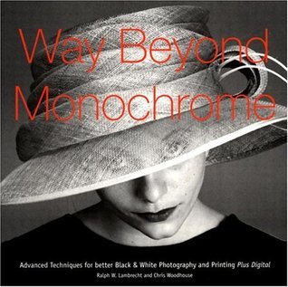 Book cover of Way Beyond Monochrome by Ralph W. Lambrecht