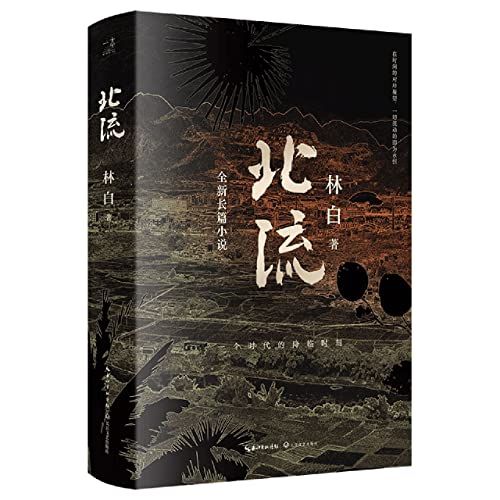 Book cover of Beiliu by Lin Bai