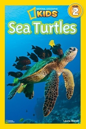 Book cover of Sea Turtles by Laura Marsh