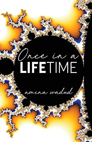 Book cover of Once in a Lifetime by Amina Wadud