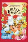 Book cover of Busy Bees by Sue Whiting, Stuart Martin