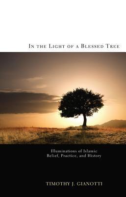 Book cover of In The Light Of A Blessed Tree: Illuminations Of Islamic Belief, Practice, And History by Timothy J. Gianotti