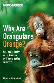 Book cover of Why Are Orangutans Orange?: Science Puzzles in Pictures - With Fascinating Answers by New Scientist, Mick O'Hare (Ed.)