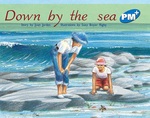 Book cover of Pm Fiction Plus by Joan Jarden