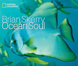 Book cover of Ocean Soul by Brian Skerry