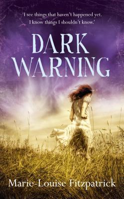 Book cover of Dark Warning by Marie-Louise Fitzpatrick