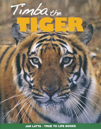 Book cover of Timba The Tiger by Jan Latta