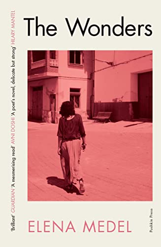 Book cover of The Wonders by Elena Medel