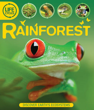 Book cover of Rainforest by Sean Callery