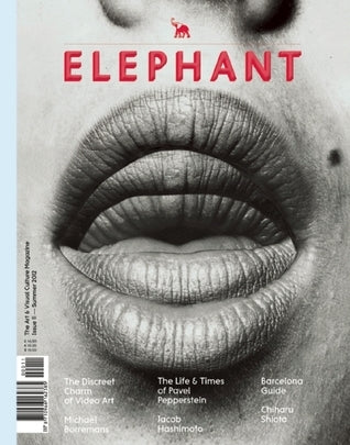 Book cover of Elephant #11: The Arts & Visual Culture Magazine by Marc  Valli (Ed.)