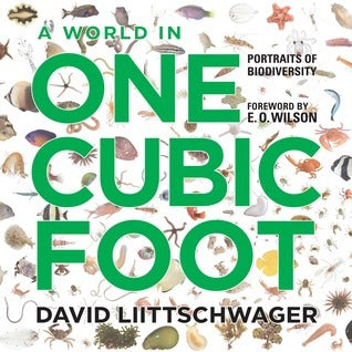 Book cover of A World in One Cubic Foot: Portraits of Biodiversity by W. S. Di Piero, Edward O. Wilson (Foreword)