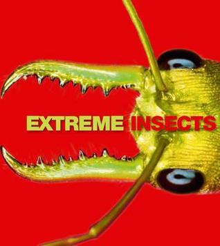 Book cover of Extreme Insects by Richard          Jones