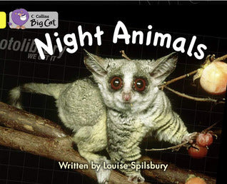 Book cover of Night Animals by Louise Spilsbury
