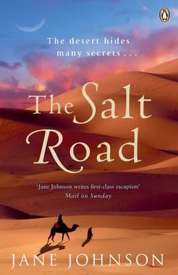 Book cover of Salt Road by Jane Johnson