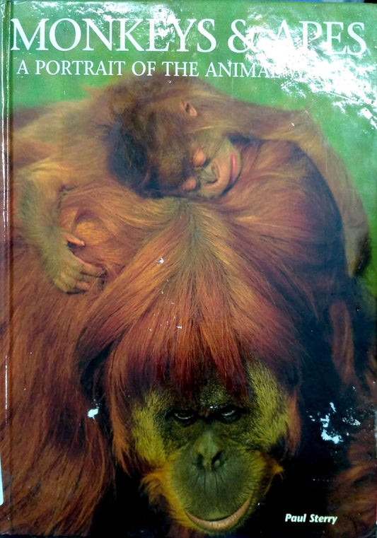 Book cover of Monkeys And Apes by Paul Sterry