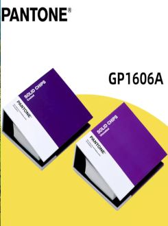 Book cover of Pantone Solid Chips Coated & Uncoated GP1606A