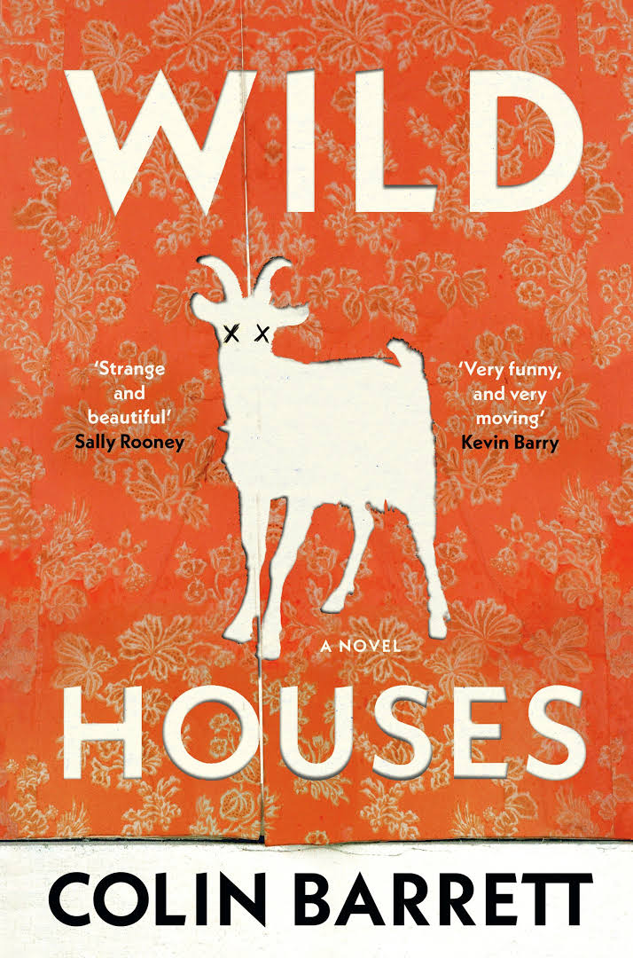 Book cover of Wild Houses by Colin Barrett