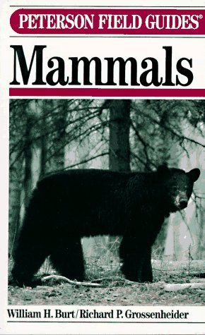 Book cover of Peterson Field Guides: Mammals by William Henry Burt, Richard P. Grossenheider