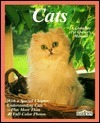 Book cover of Cats: How To Take Care Of Them And Understand Them by Katrin Behrend, Monika Wegler