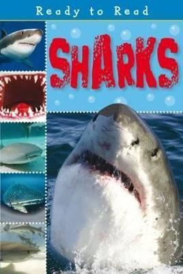 Book cover of Sharks by Sarah Creese
