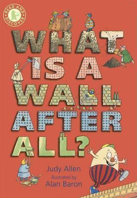 Book cover of What Is A Wall, After All? by Judy Allen