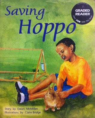 Book cover of Saving Hoppo by Dawn McMillan, Claire Bridge (Illus.)