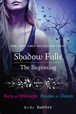Book cover of The Beginning: Born At Midnight And Awake At Dawn by C.C. Hunter