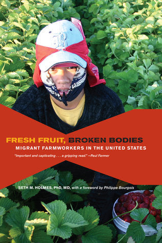 Book cover of Fresh Fruit, Broken Bodies: Migrant Farmworkers In The United States by Seth Holmes