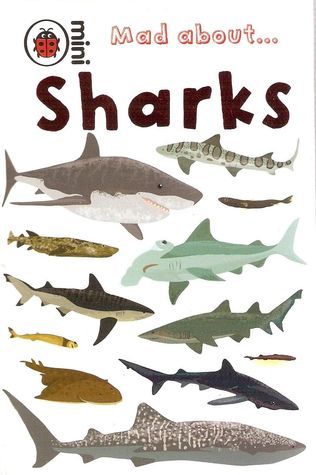 Book cover of Mad About... Sharks by Deborah Murrell, Sue Hendra (Illus.)