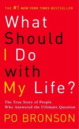 Book cover of What Should I Do With My Life?: The True Story Of People Who Answered The Ultimate Question by Po Bronson