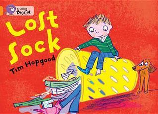 Book cover of Lost Sock by Tim Hopgood