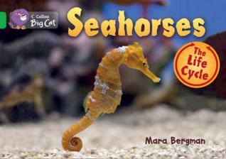 Book cover of Seahorses: Band 05/Green by Mara Bergman