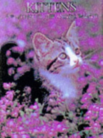 Book cover of Kittens by Marcus Schneck