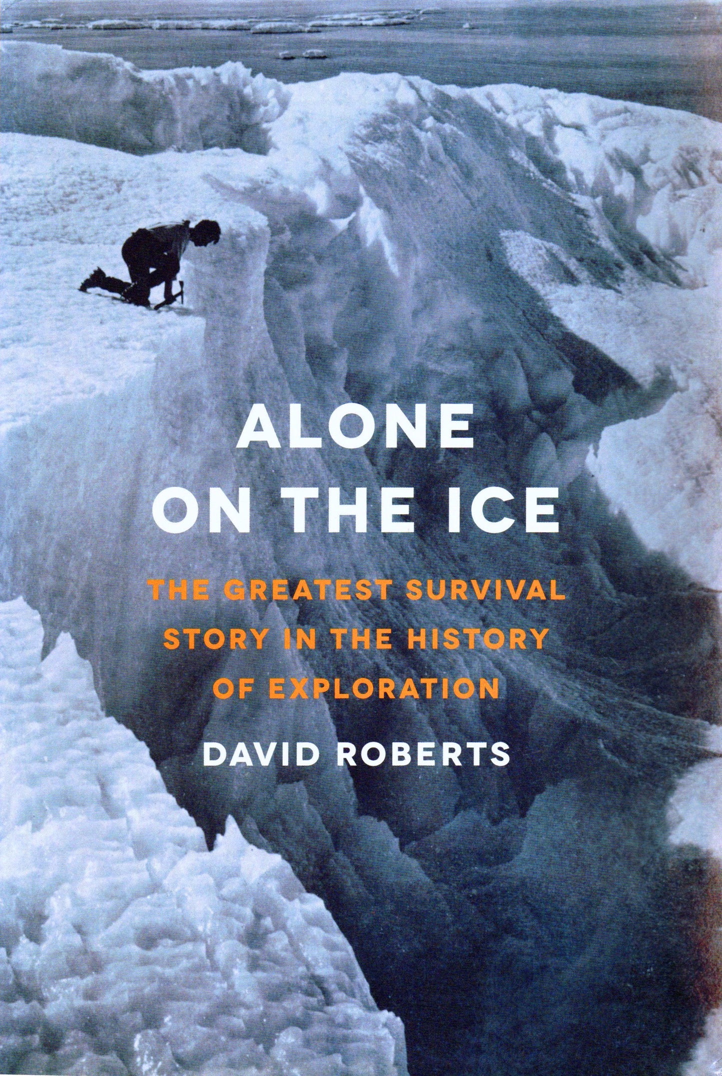 Book cover of Alone On The Ice: The Greatest Survival Story In The History Of Exploration by David  Roberts