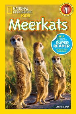 Book cover of Meerkats by Laura Marsh