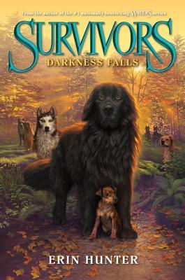 Book cover of Darkness Falls by Erin Hunter