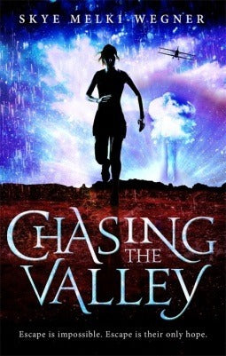 Book cover of Chasing The Valley by Skye Melki-Wegner