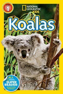 Book cover of Koalas by Laura Marsh