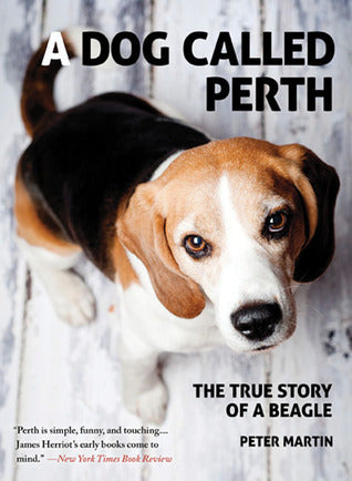 Book cover of A Dog Called Perth: The True Story Of A Beagle by Peter   Martin