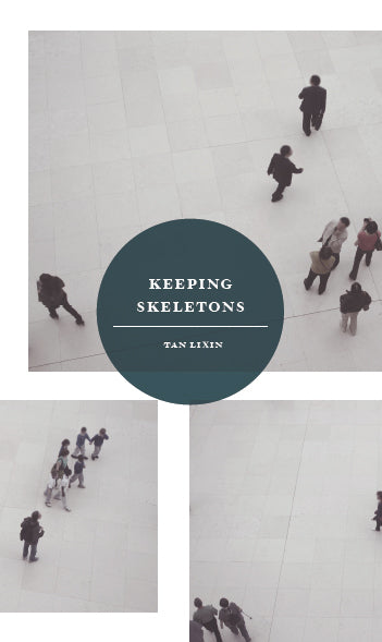 Book cover of Keeping Skeletons by Tan Lixin
