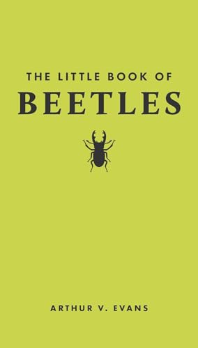 Book cover of The Little Book Of Beetles by Arthur V. Evans, Tugce Okay (Illus.)