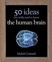 Book cover of 50 Human Brain Ideas You Really Need to Know by Moheb Costandi