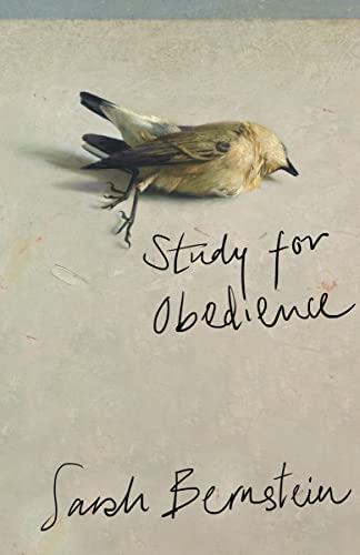 Book cover of Study For Obedience by Sarah Bernstein
