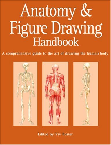 Book cover of Anatomy And Figure Drawing Handbook: A Comprehensive Guide To The Art Of Drawing The Human Body by Viv Foster (Ed.)