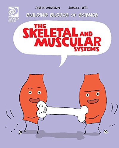 Book cover of Skeletal And Muscular Systems by Joseph Midthun, Samuel Hiti (Illus.)