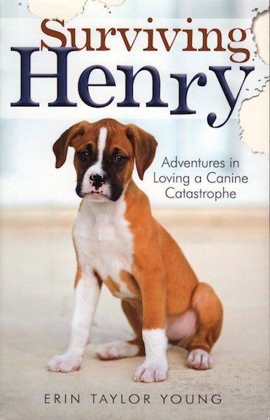 Book cover of Surviving Henry: Adventures in Loving a Canine Catastrophe by Erin Taylor Young