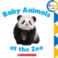 Book cover of Baby Animals At The Zoo by Rebecca Bondor
