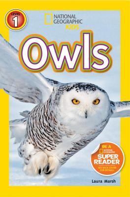 Book cover of Owls by Laura Marsh
