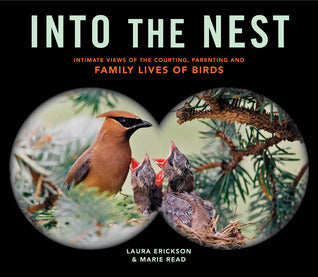Book cover of Into The Nest: Intimate Views Of The Courting, Parenting, And Family Lives Of Familiar Birds by Marie Read, Laura Erickson
